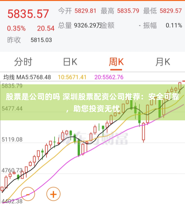 股票是公司的吗 深圳股票配资公司推荐：安全可靠，助您投资无忧