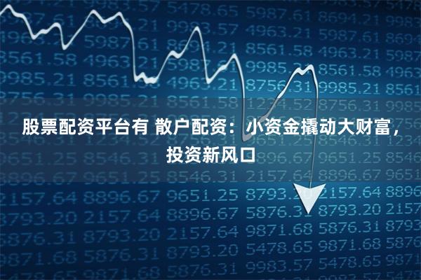 股票配资平台有 散户配资：小资金撬动大财富，投资新风口