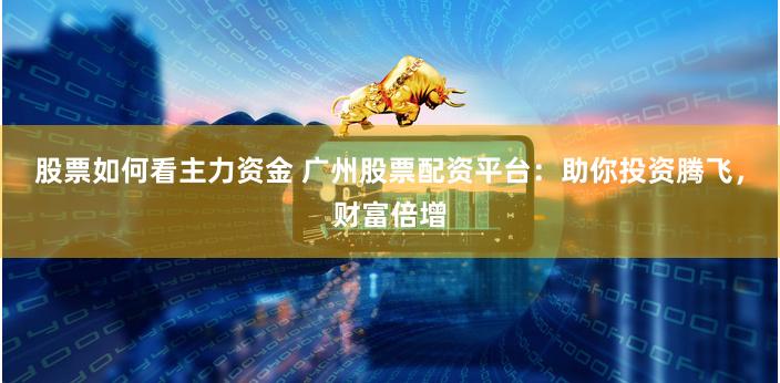 股票如何看主力资金 广州股票配资平台：助你投资腾飞，财富倍增