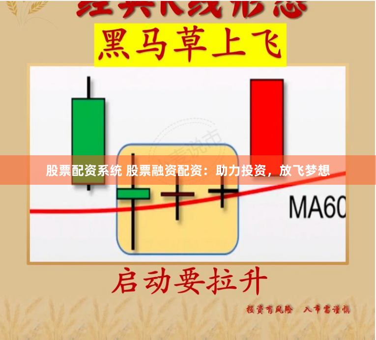 股票配资系统 股票融资配资：助力投资，放飞梦想