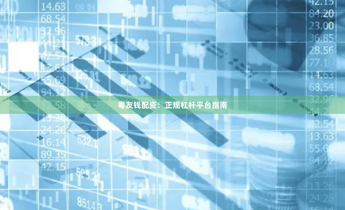 粤友钱配资：正规杠杆平台指南