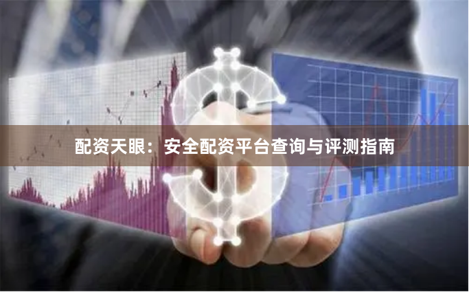 配资天眼：安全配资平台查询与评测指南